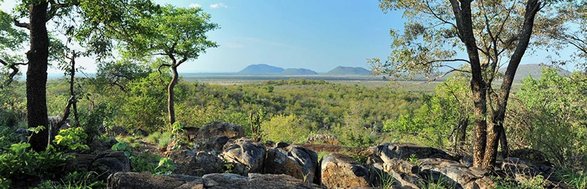 Buffalo Ridge Safari Lodge